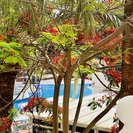 Castle Harbour Melanie'S Apartment By Lovetenerife Los Cristianos (Tenerife) Exterior foto